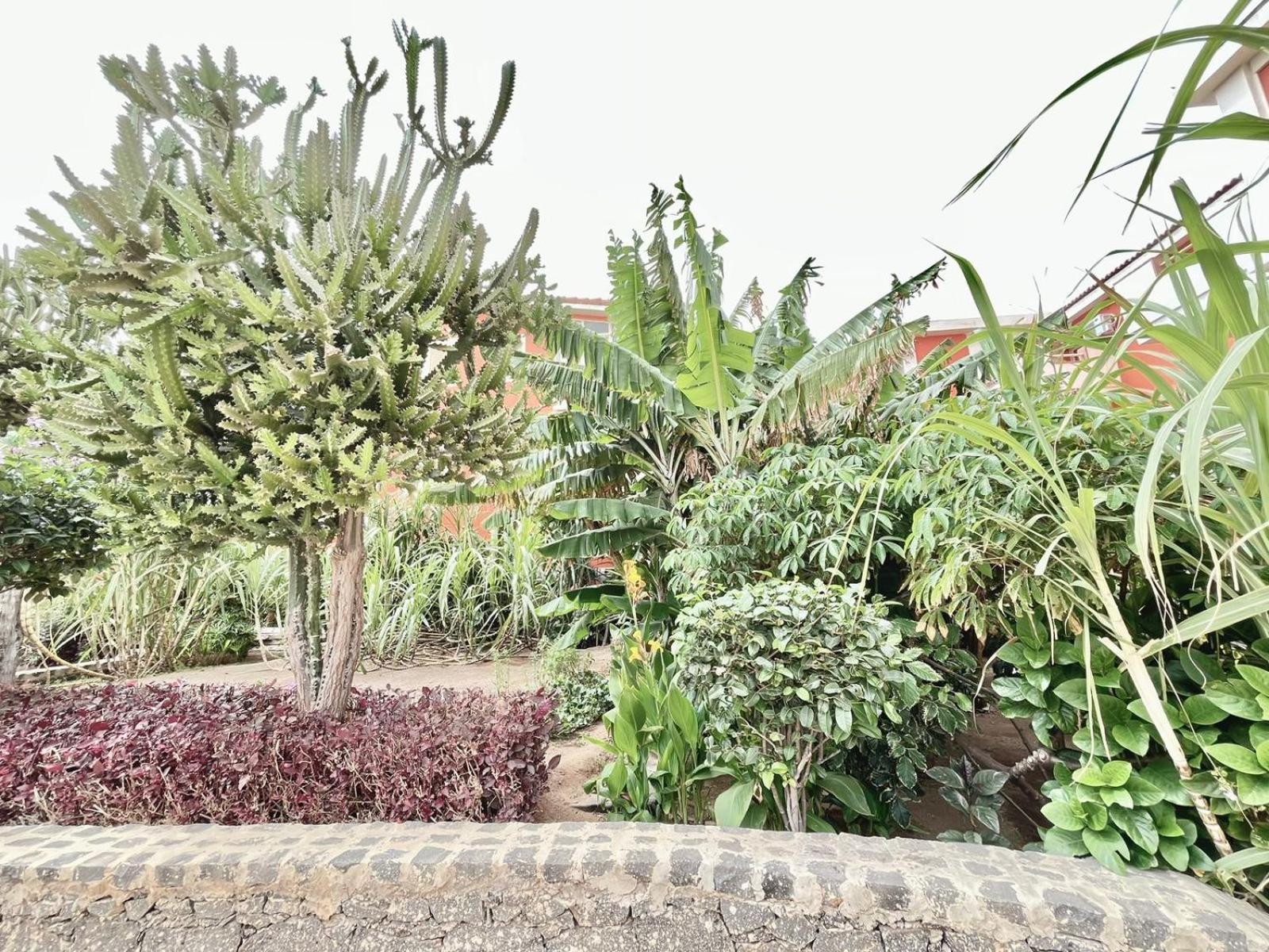 Moradias C12 In A With Pool And Security Appartement Santa Maria